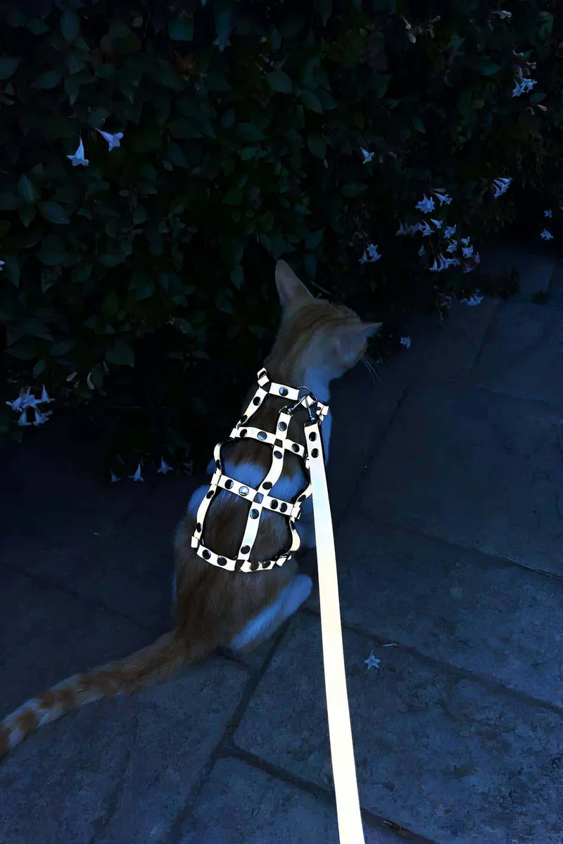 Reflektörlü Kedi Tasması Yakın Çekim Metal Zımba Detayları