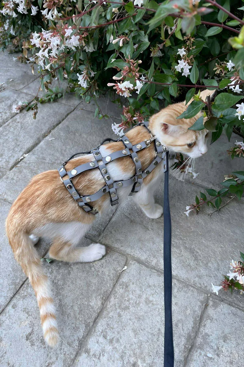 Reflektörlü Gri Ayarlanabilir Kedi Harness Yürüme Tasması - 7
