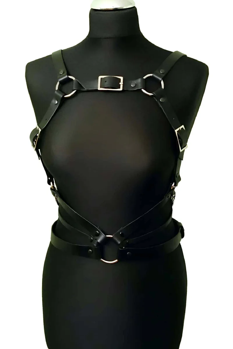 Full Body Harness Back View Adjustable Shoulder