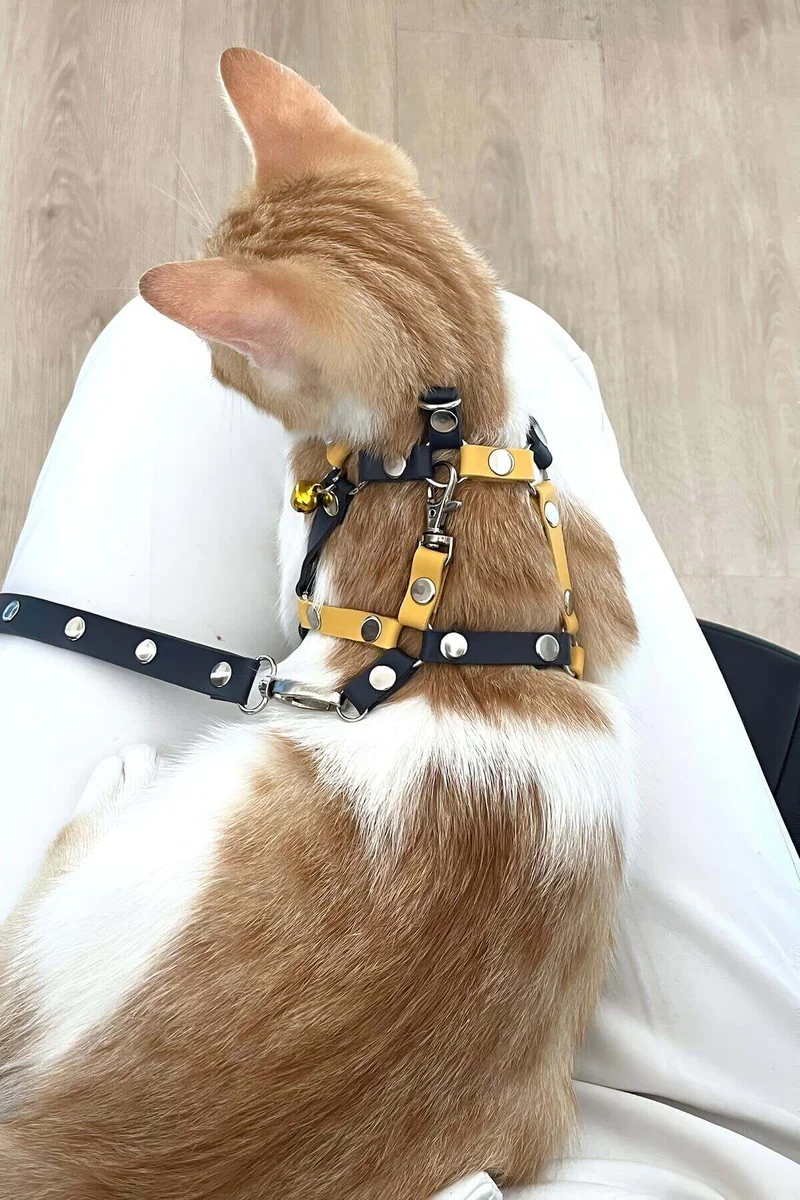 Suni Deri Kedi Göğ