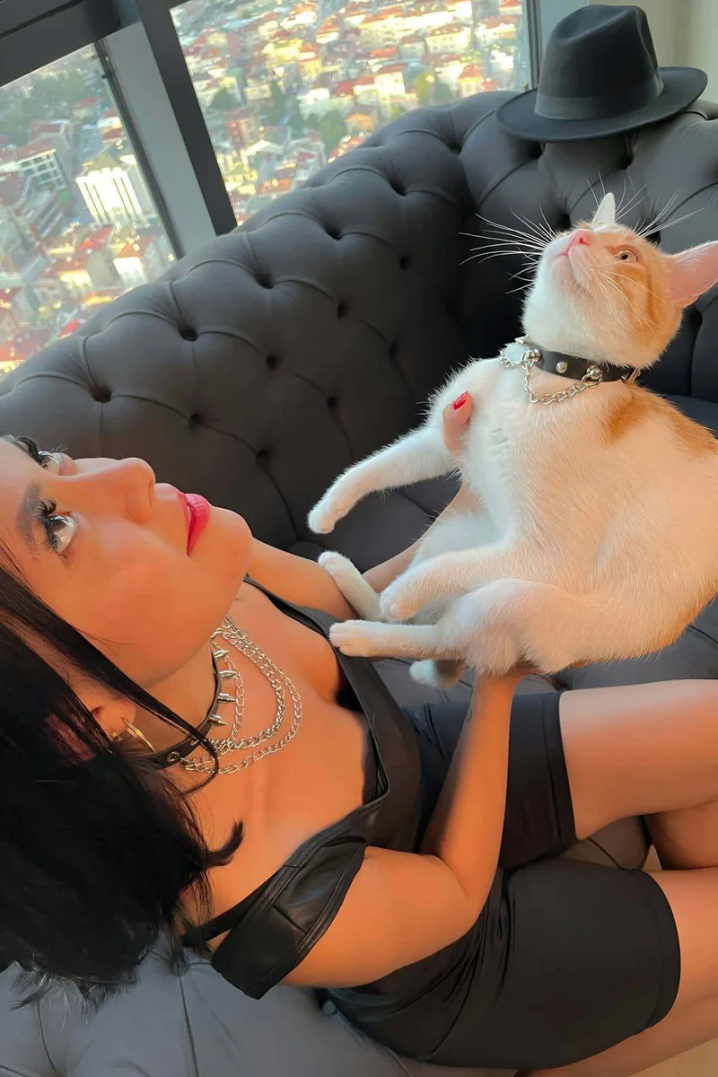 Spiked Chain Choker Set: Matching Human & Cat Adornment