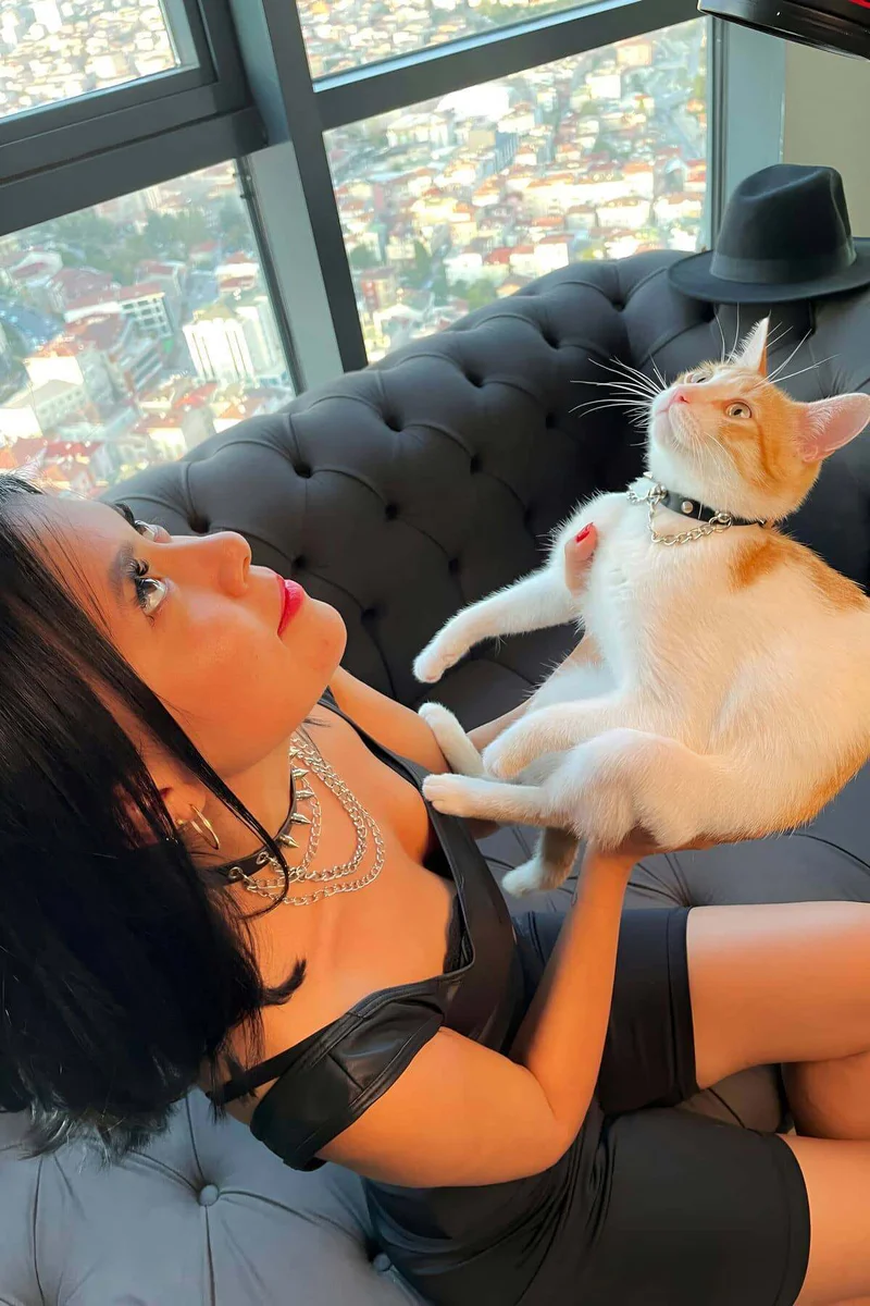 Spiked Chain Choker Set: Matching Human & Cat Adornment