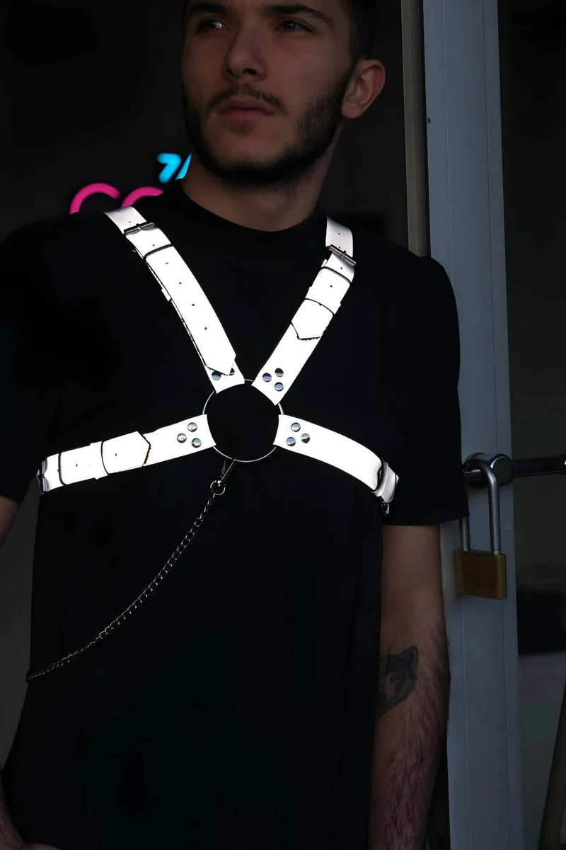 Silver Reflective Harness Accessory Layered Over