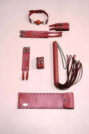 Whip Handcuffs Set of 4, Hand - Foot Clamps, Whip, Mouth Ball - APFT1306