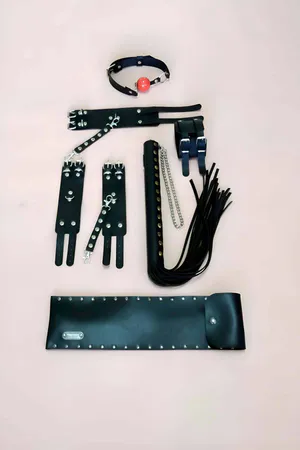 Fantasy Whip Set of 4, Hand - Foot Clamps, Whip, Mouth Ball - APFT1306