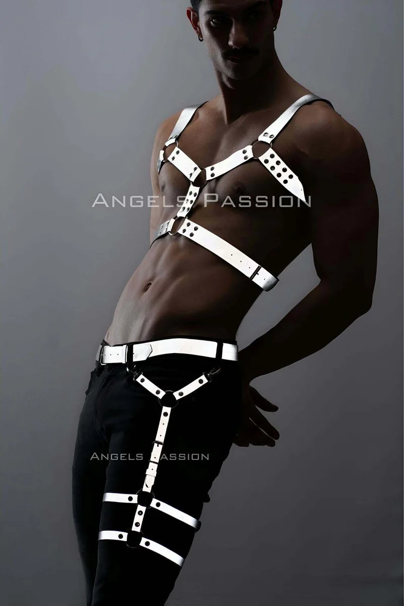 Reflective chest and leg harness set silver straps