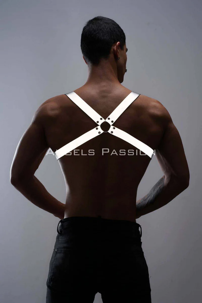 Reflective harness outfit silver full back view