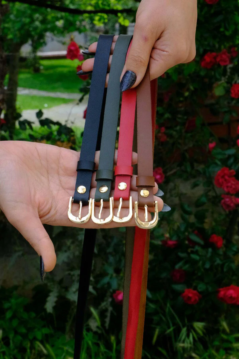 4-Piece Belt Set, Black Belt - Red Belt - Khaki Belt - Tan Belt (Gold Accessory)