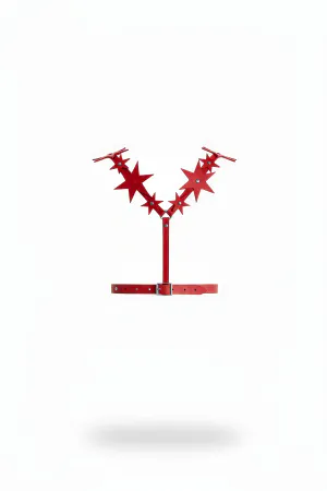 Red Women's Belt Star Detailed Body Accessory - APFT634