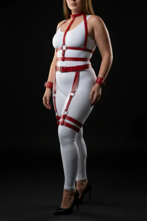 Plus Size Red Women's Harness Set with Garter and Ring Detail - APFT697