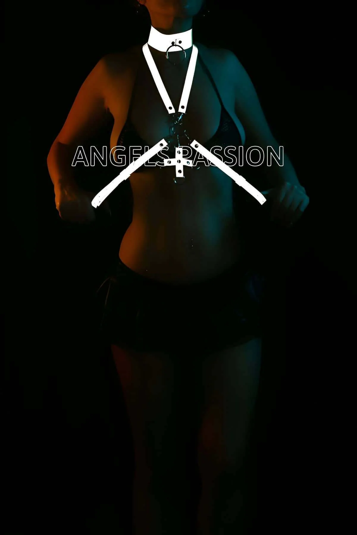 Reflective Body Harness with Choker and Adjustable Straps